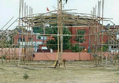 12118603_939971322707909_3727976572896157373_n